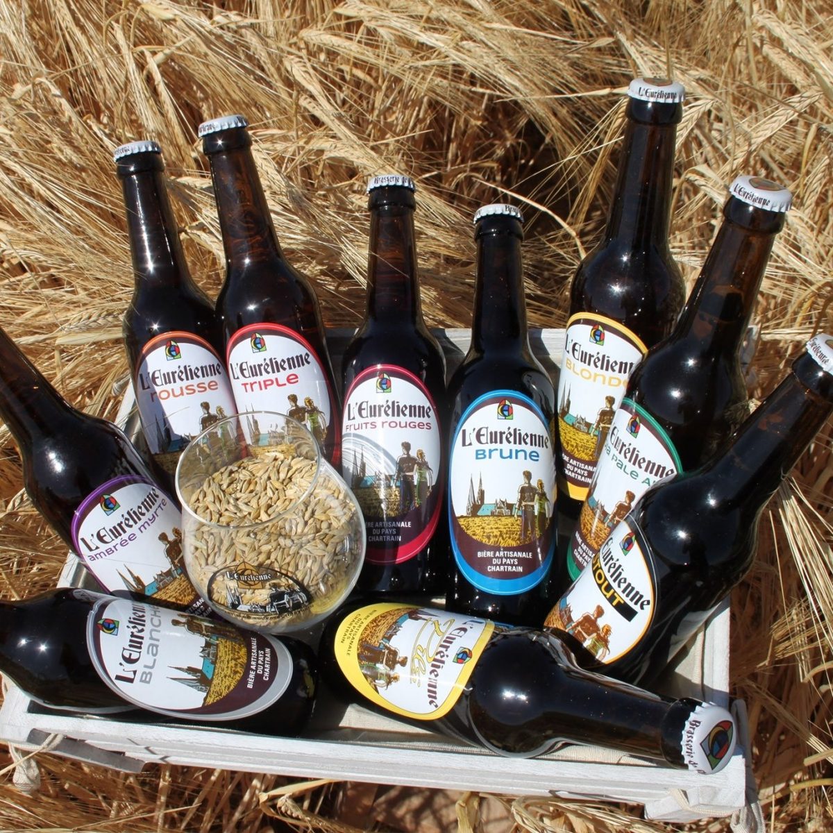 Coffret 3 Bières 33cl + 1 Verre - Bière Artisanale de Sainte-Mère-Eglise