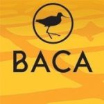 baca bieres